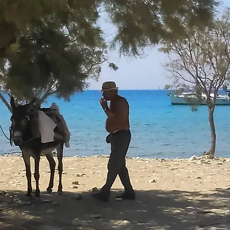 Summer House By The Sea アパート