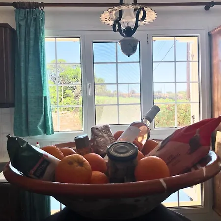 Beach House 50M From Glyfa Beach - Private Garden *