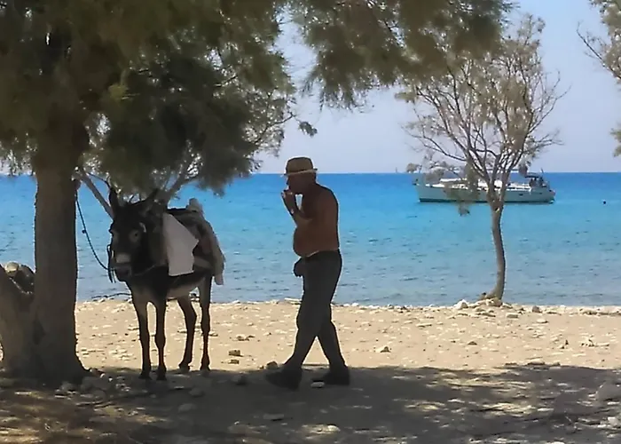 Summer House By The Sea 公寓